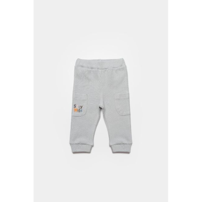 Set bluzita cu pantalon Lion, gri, BabyCosy, 100%bumbac (Marime: 3-6 Luni) JEMBC-CSYW1024-3