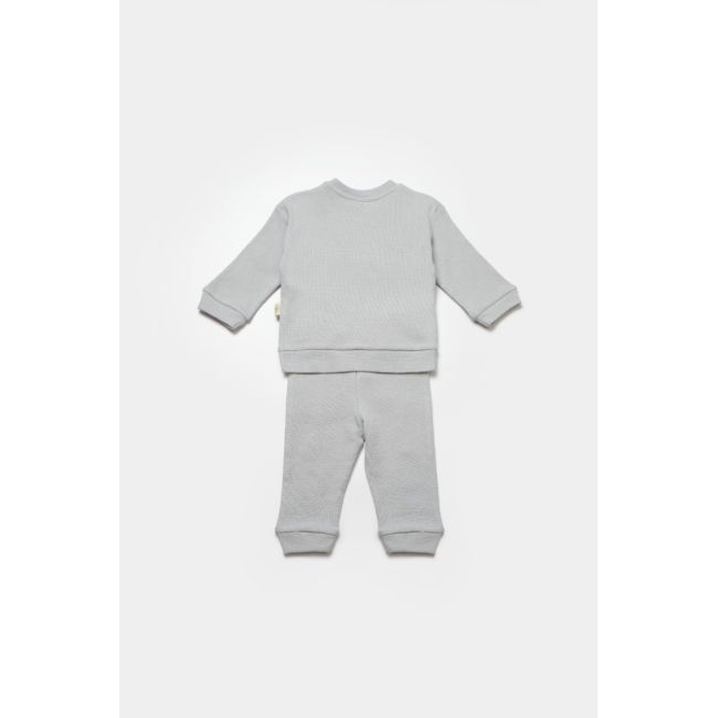 Set bluzita cu pantalon Lion, gri, BabyCosy, 100%bumbac (Marime: 3-6 Luni) JEMBC-CSYW1024-3