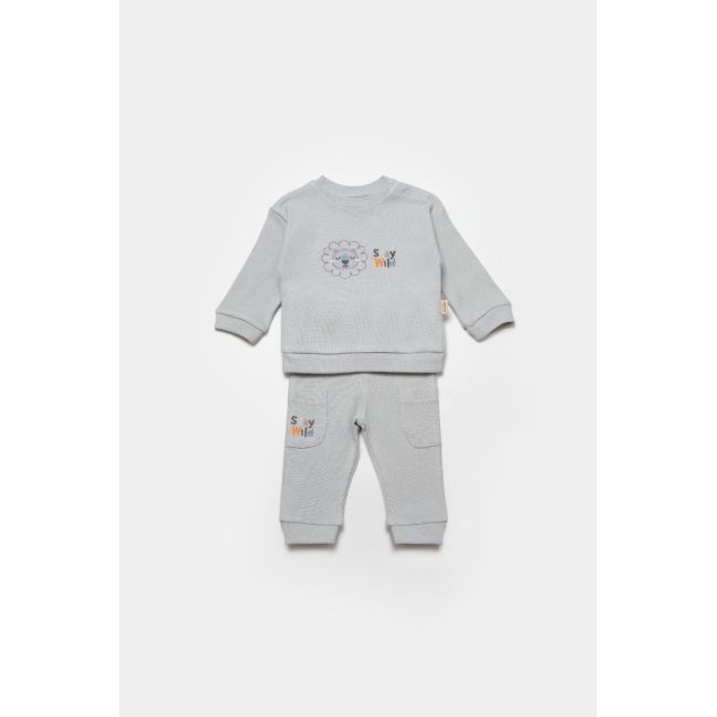 Set bluzita cu pantalon Lion, gri, BabyCosy, 100%bumbac (Marime: 3-6 Luni) JEMBC-CSYW1024-3