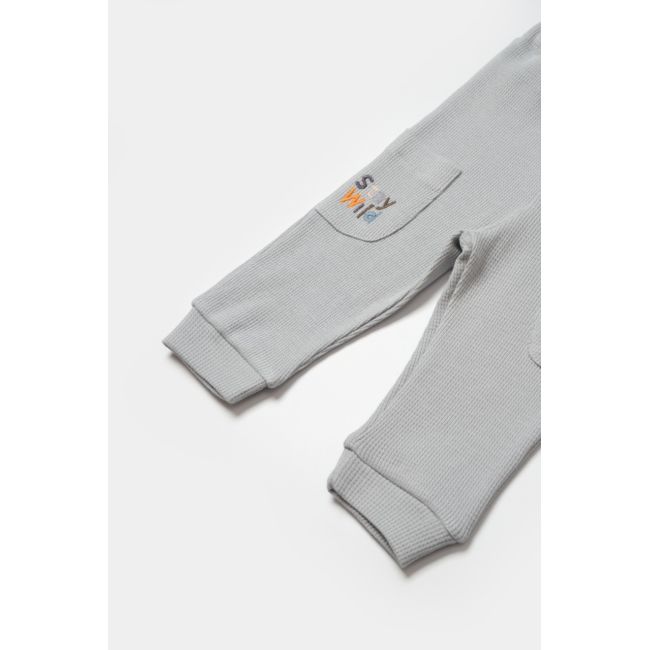 Set bluzita cu pantalon Lion, gri, BabyCosy, 100%bumbac (Marime: 6-9 luni) JEMBC-CSYW1024-6