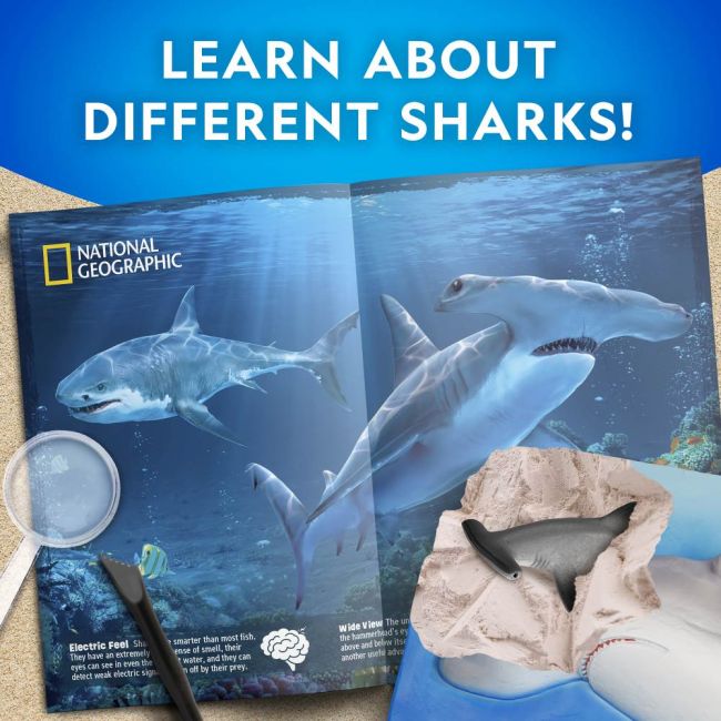 National Geographic - Set educativ Expeditie submarina descoperirea rechinilor ARTNG23692