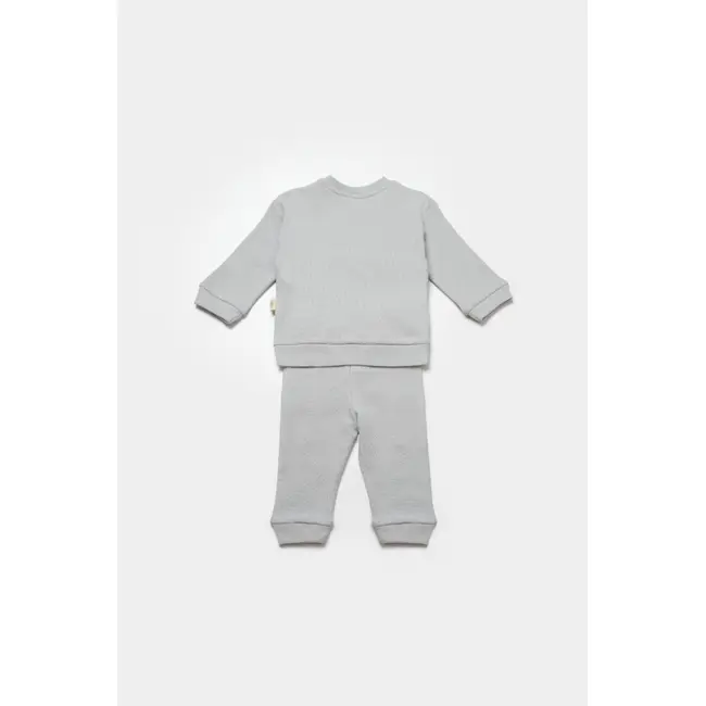 Set bluzita cu pantalon Lion, gri, BabyCosy, 100%bumbac (Marime: 12-18 Luni) JEMBC-CSYW1024-12