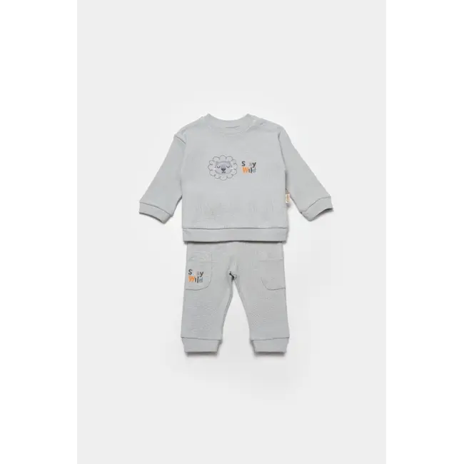 Set bluzita cu pantalon Lion, gri, BabyCosy, 100%bumbac (Marime: 12-18 Luni) JEMBC-CSYW1024-12