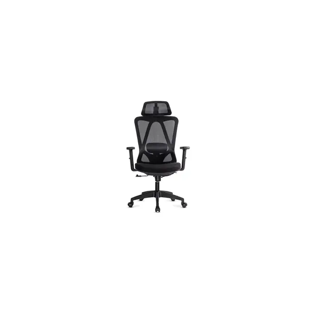 Scaun birou ergonomic OFF987, mesh, mecanism a-sincron, cotiere reglabile, 110 kg, negru DRM10648
