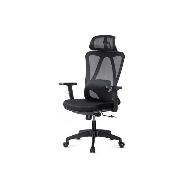 Scaun birou ergonomic OFF987, mesh, mecanism a-sincron, cotiere reglabile, 110 kg, negru DRM10648