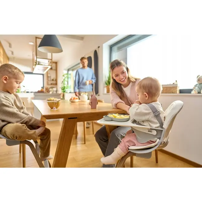 Scaun de masa, Lionelo, Dalia, 2 in 1, Transformabil, Cu 2 suporturi pentru picioare, Cu tavita detasabila, Sustine 60 kg, 6 luni+, Conform cu EN14988, Gri Stone BYNLO-DALIA_GREY_STONE