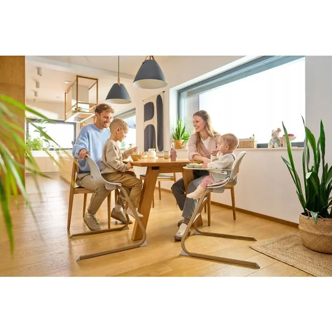 Scaun de masa, Lionelo, Dalia, 2 in 1, Transformabil, Cu 2 suporturi pentru picioare, Cu tavita detasabila, Sustine 60 kg, 6 luni+, Conform cu EN14988, Gri Stone BYNLO-DALIA_GREY_STONE