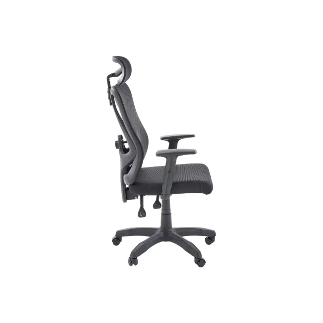 Scaun birou egonomic HM Ramos, mesh, mecanism multiblock, baza polipropilena, suport lombar reglabil, cotiere ajustabile, 120 kg, negru DRM10651