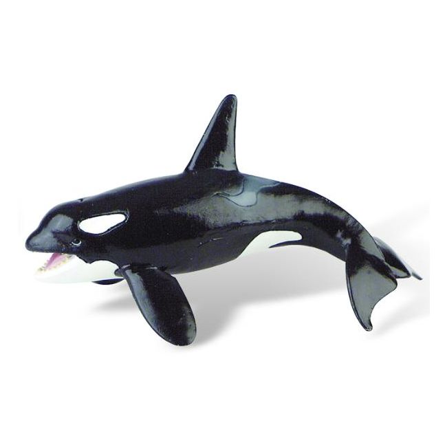 Balena Orca - BL4007176674093