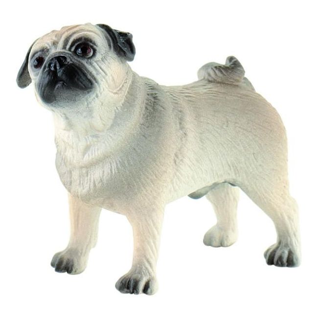 Caine rasa "MOPS" - BL4007176654255