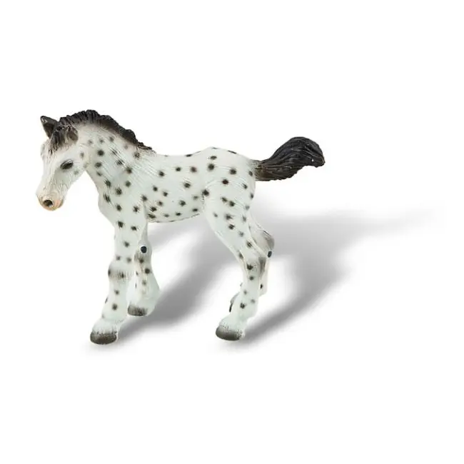 Manz cal Knabstrupper - BL4007176626733