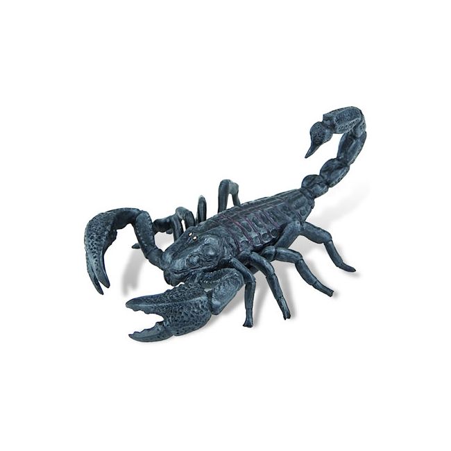 Scorpion - BL4007176683897