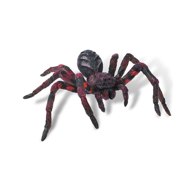 Wolf Spider - BL4007176684306