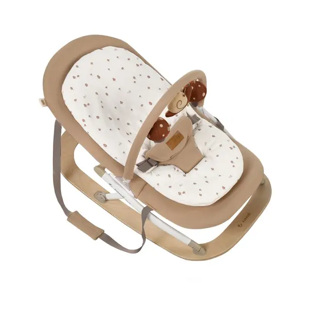 Balansoar, Jane, Kalm, Pliabil, Cu bara de jucarii si spatar reglabil, Cu baza din lemn, Conform cu standardul european de siguranta EN 12790:2023, Sesame BYN8420421092521