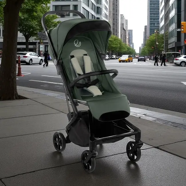 Carucior sport, Jane, Wing, Sistem compact de pliere, Cadru din aluminium, Usor, 6 Kg, De la nastere pana la 22 Kg, Cu geanta transport si husa de ploaie, Conform cu standardul european EN 1888-1:2018+A1:2022, Botanic BYN8420421093443