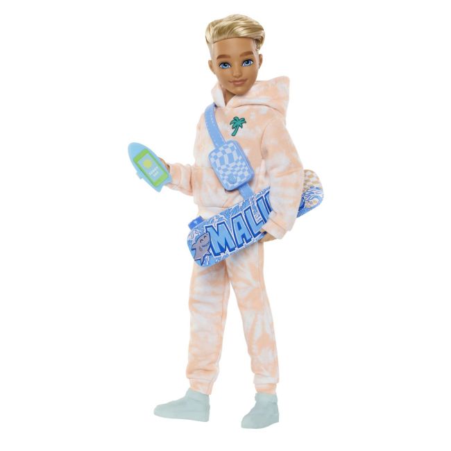 BARBIE DREAM BESTIES PAPUSA KEN CU ACCESORII VIVMTJDD75