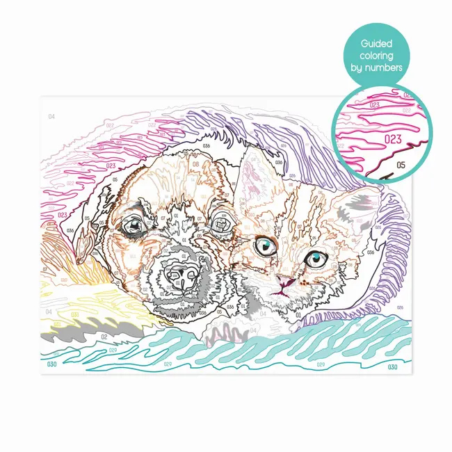 HAPPI HOBBI PICTEAZA INRAMEAZA DULCE PRIETENIE VIV1038-41020