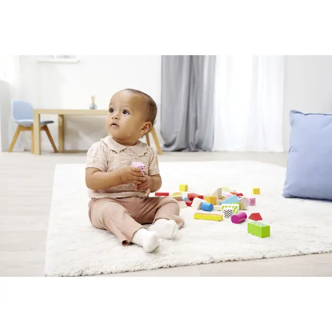 EICHORN COLOR SET BLOCURI DE CONSTRUCTIE DIN LEMN VIV100002226