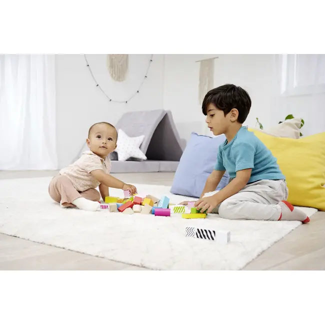 EICHORN COLOR SET BLOCURI DE CONSTRUCTIE DIN LEMN VIV100002226