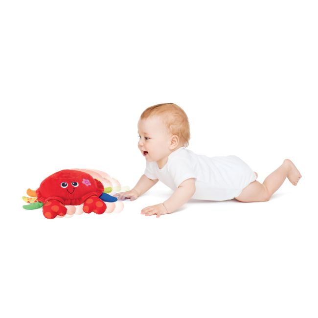 WINFUN JUCARIE CRABUL DANSATOR VIVWin000155