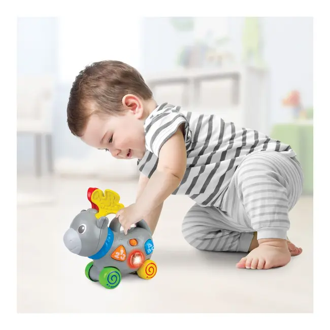 WINFUN JUCARIE DE IMPINS ELAN VIVWin000768