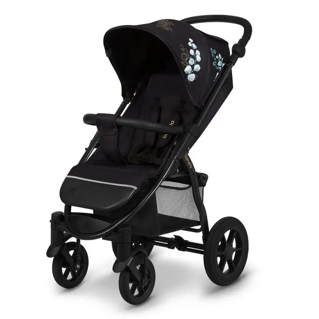 Carucior sport, Lionelo, Annet Tour Golden Moments, Editie Limitata, 0 luni+, Capotina impermeabila UPF 50+, Maner reglabil, Plasa de tantari, Suport biberon, Saculet pentru picioare, Pana la 22 kg, Certificare TUV, Negru BYNLO-ANNET_TOUR_GOLDEN_MOMENTS