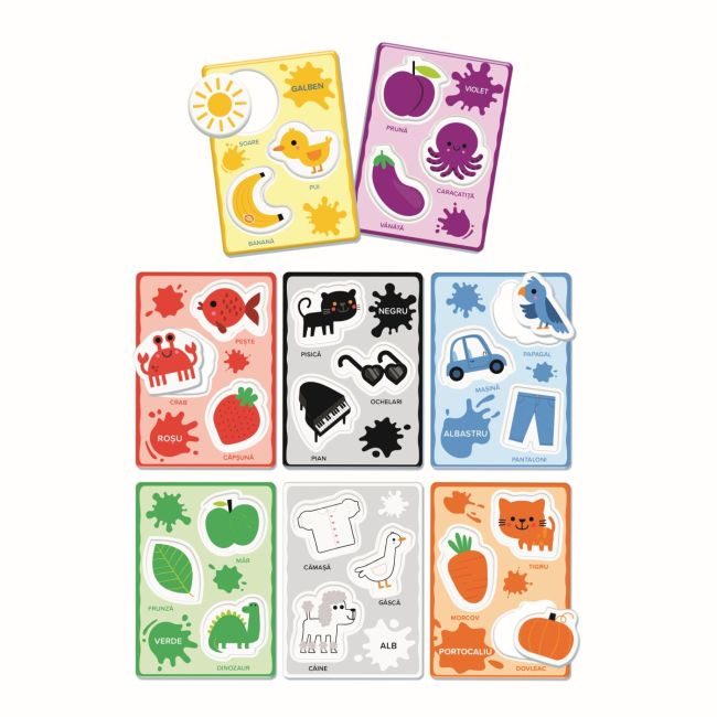 AGERINO BABY MONTESSORI RECUNOASTEREA CULORILOR VIV1024-50262