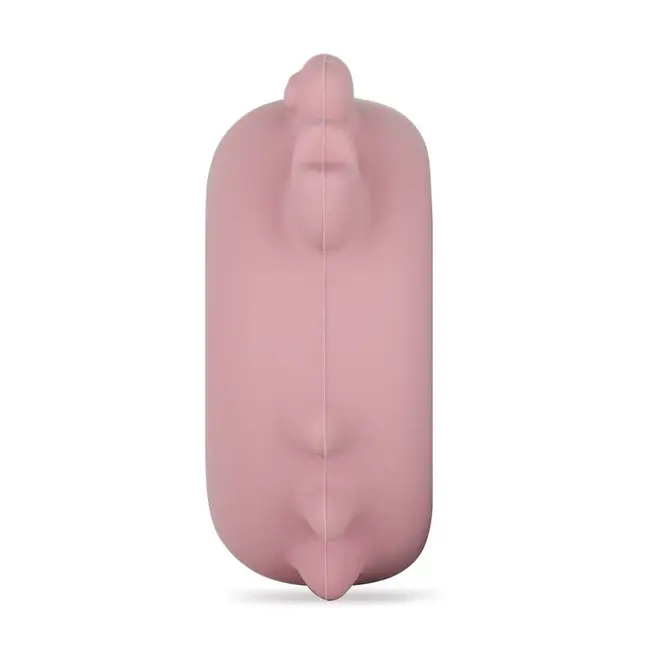 Temometru digital, Petite&Mars, Crabul Caleb, Multifunctional, Ecran usor de citit, Valoare precisa, Silicon Sigur, Avertizare temperatura, 0 luni+, Roz BYN583820