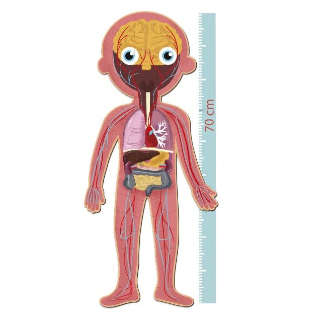 Puzzle educational, Apli Kids, Carton, Corpul uman
