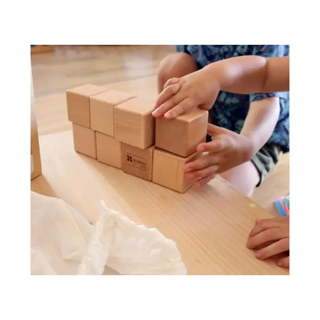 Joc educativ pentru copii si copii nevoi speciale didactic, Andreu Toys, senzorial, 10 cuburi din lemn natur cu 5 sunete SOLANT16112