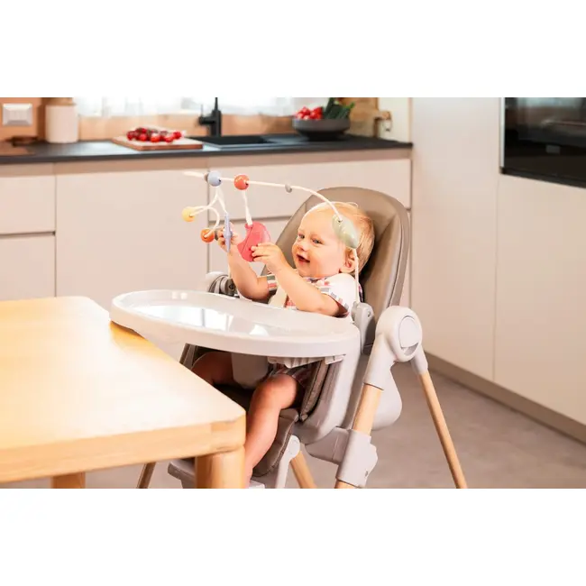 Centru de activitati Chicco cu jucarii (bara) Rainbow pentru scaun de masa Polly Armonia, 0luni+ CHC8714393-8