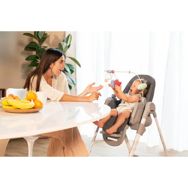 Centru de activitati Chicco cu jucarii (bara) Rainbow pentru scaun de masa Polly Armonia, 0luni+ CHC8714393-8