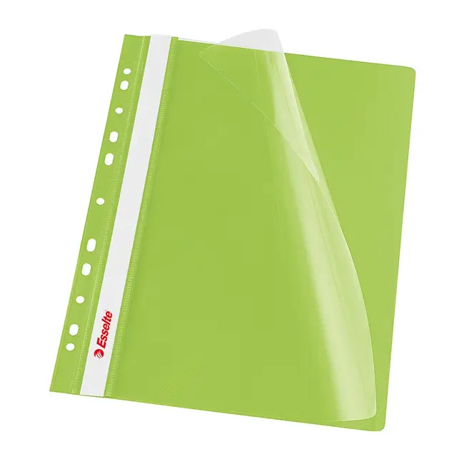 Dosar PP cu multiperforatii  Esselte VIVIDA, A4, verde, 10 buc/set BPTCSL000134