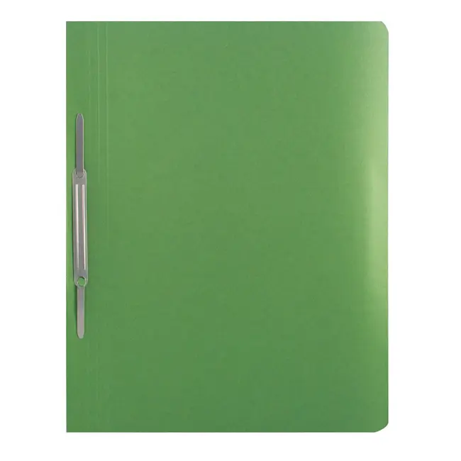 Dosar cu sina Basic, carton, vernil BPTCRQ010614