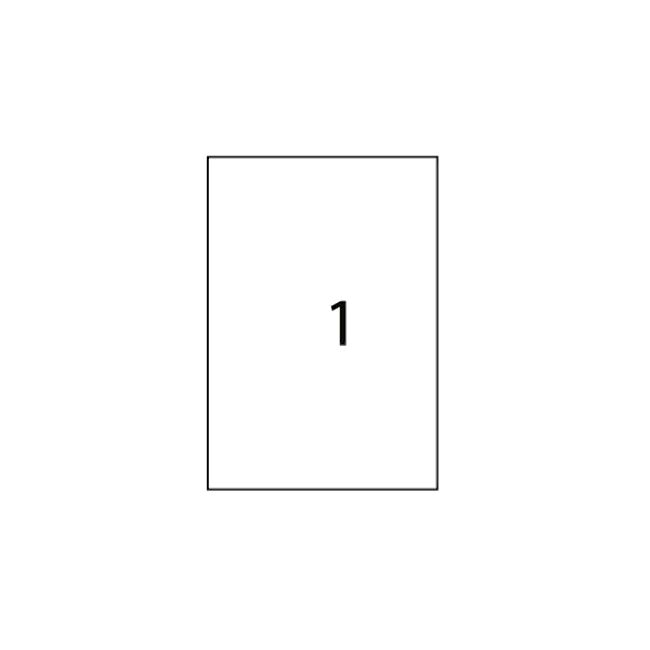 Etichete autoadezive Apli, A4, 210 x 297 mm, 100 bucati, 100 coli/top BPTCAL11817