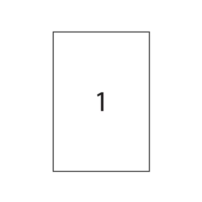 Etichete autoadezive RTC, A4, 210 x 297 mm, 100 bucati, 100 coli/top BPTCRH1000