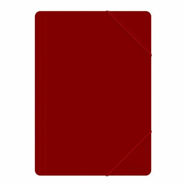 Mapa din plastic cu elastic, Memoris Precious, rosu BPTCBV032118