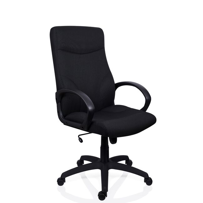 Fotoliu directorial Stilo, stofa, negru BPTCPL575705
