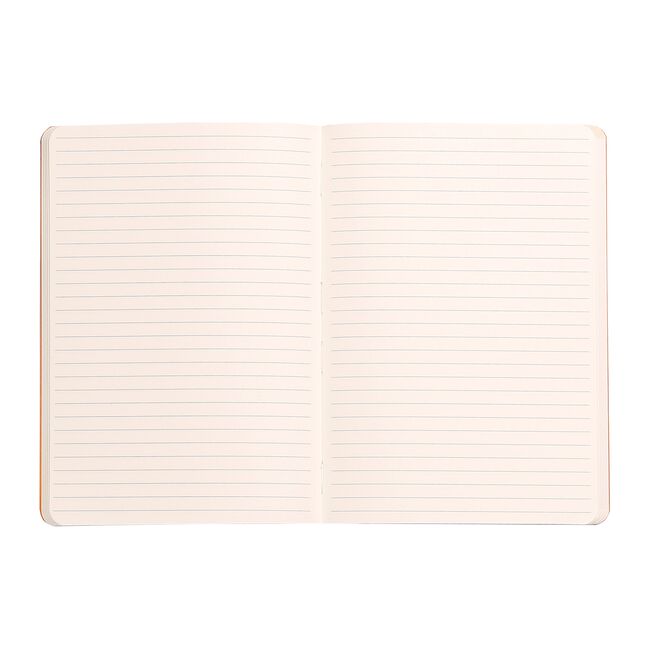 Notebook A5 Rhodiarama, 80 file, ivory, dictando, argintiu BPTCCF1174012