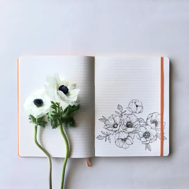 Notebook A5 Rhodiarama, 80 file, ivory, dictando, rosu BPTCCF1174135