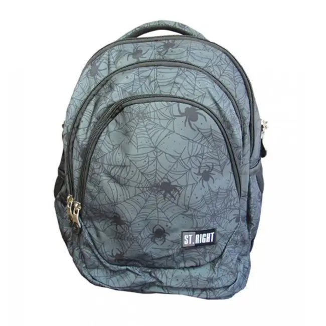 Ghiozdan BP06 ST Right Spider Web 4 compartimente, 42x31x22 cm BPTCMJ265915