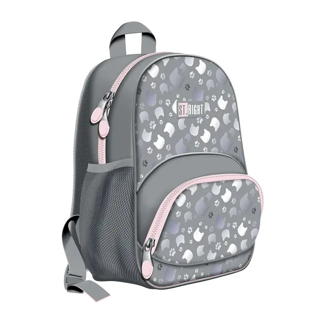 Ghiozdan BP70 ST Right Silver Cats 2 compartimente, 32x22x11 cm BPTCMJ265825