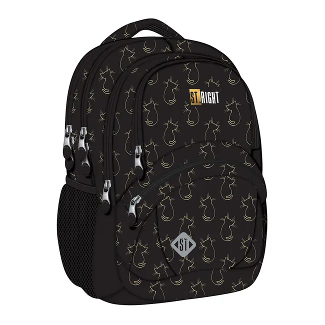 Ghiozdan scolar Majewski ST Right, BP05, Golden Cats, 4 compartimente, 42 x 30 x 19 cm BPTCMJ683442