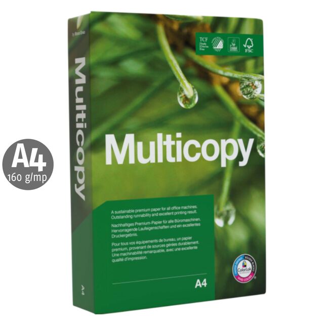 Carton Multicopy, A4, 160 g/mp, 250 coli/top BPTCNF1190