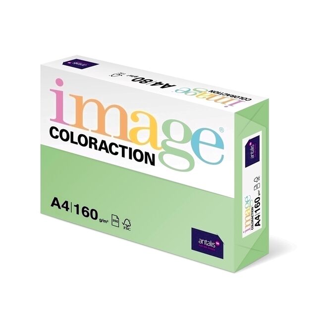Carton color Coloraction, A4, 160 g/mp, verde padure-Forest, 250 coli/top BPTCCL1611