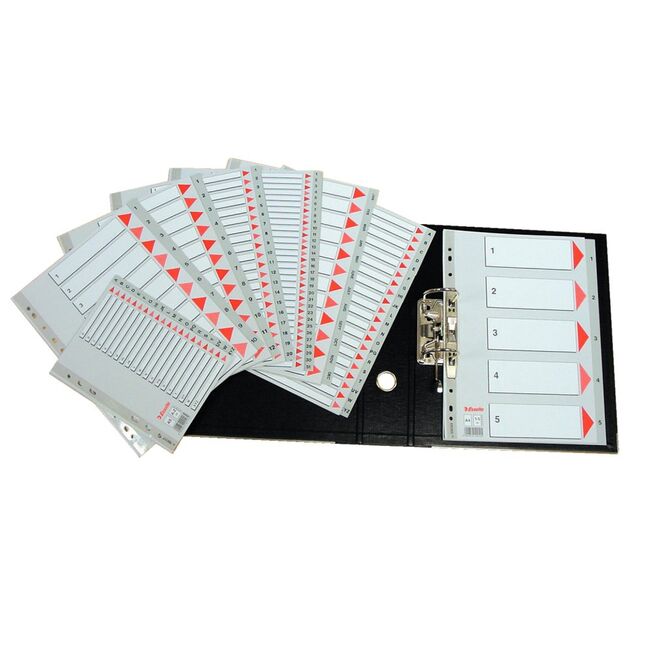 Index Esselte, A-Z, A4, 225x297 mm, plastic BPTCSL4005