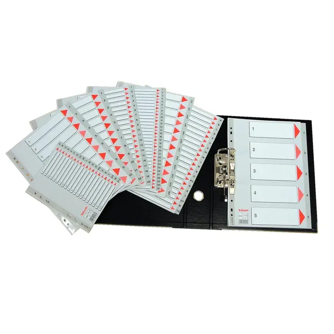 Index Esselte, A-Z, A4, 225x297 mm, plastic BPTCSL4005