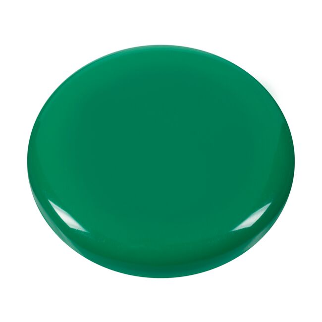 Set 10 magneti Westcott, d30 mm, verde, sustin 6/8 coli, 80g BPTCWS108210