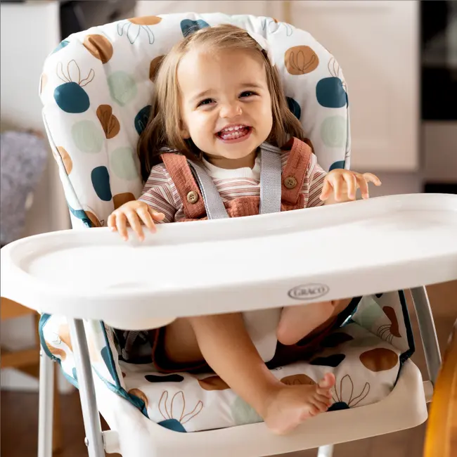 Graco -  scaun de masa snackease organza bbbgh1127baorg000