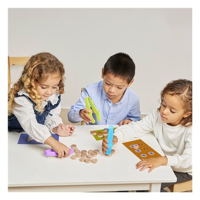 Joc educativ de logica si dexteritate prinde gandacelul - okeml45501